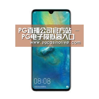 华为无线快充手机