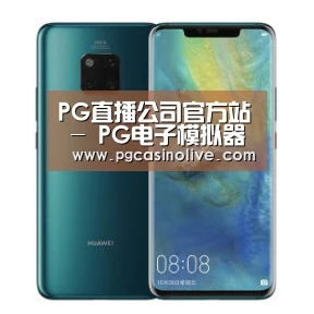 华为无线快充手机