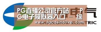 上汽电器