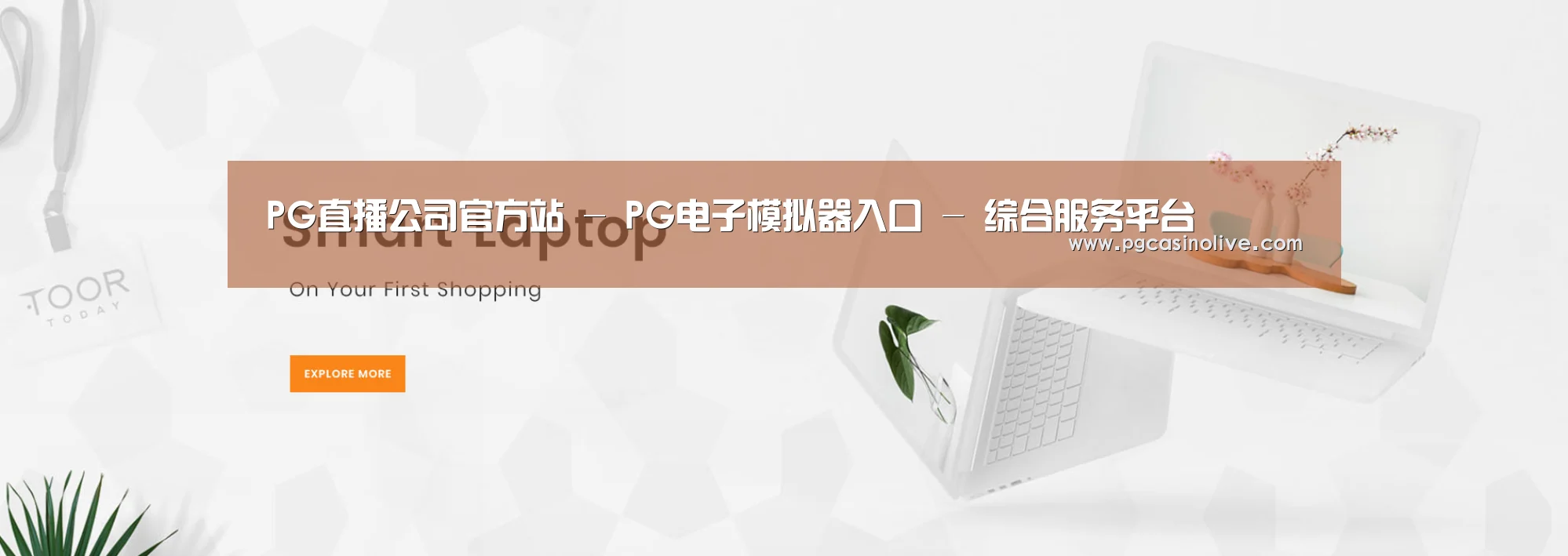 某某网络科技有限公司