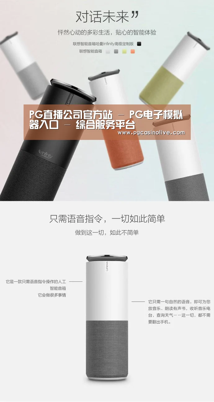 联想智能音箱G1(图1)
